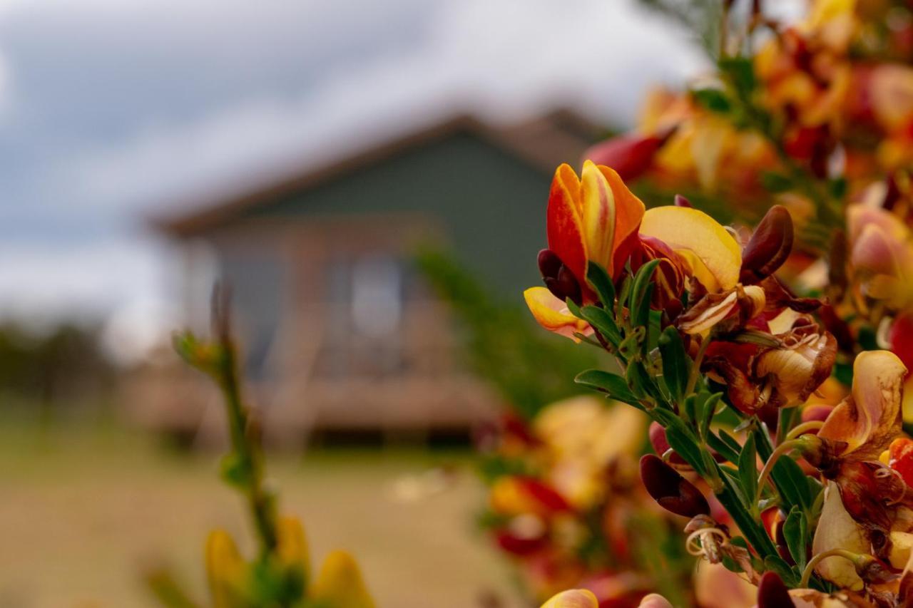 Garden Domes Villa Puerto Natales Exterior photo