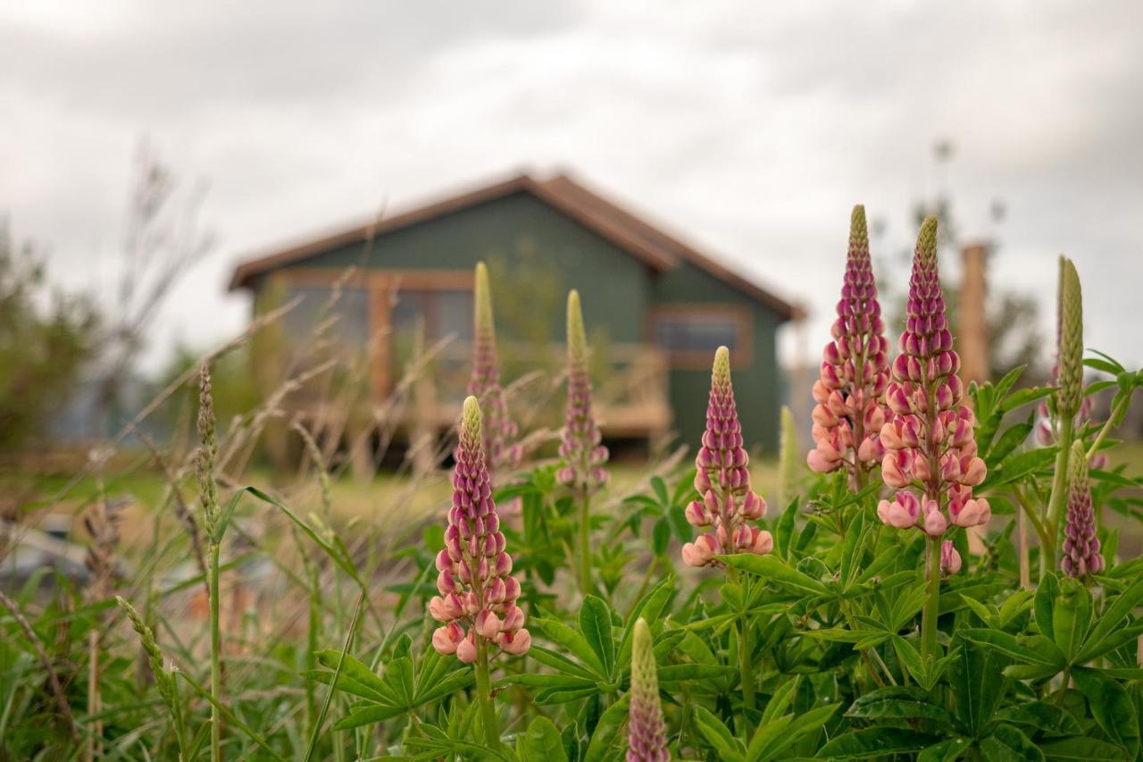 Garden Domes Villa Puerto Natales Exterior photo