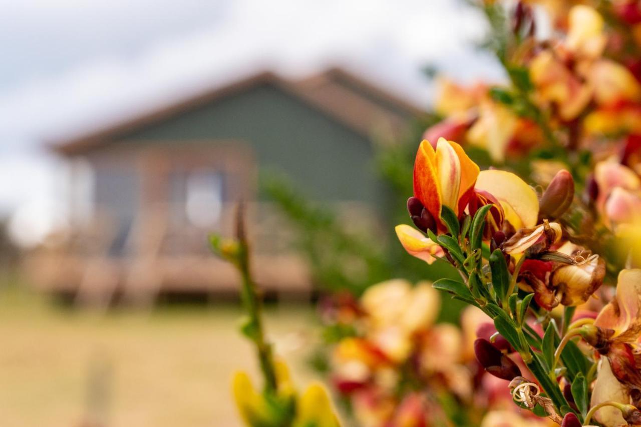 Garden Domes Villa Puerto Natales Exterior photo