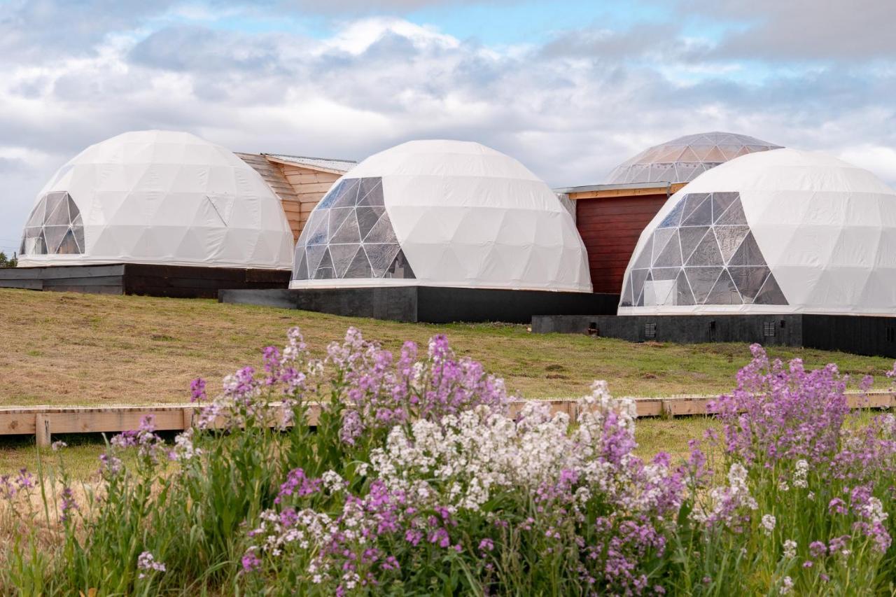 Garden Domes Villa Puerto Natales Exterior photo